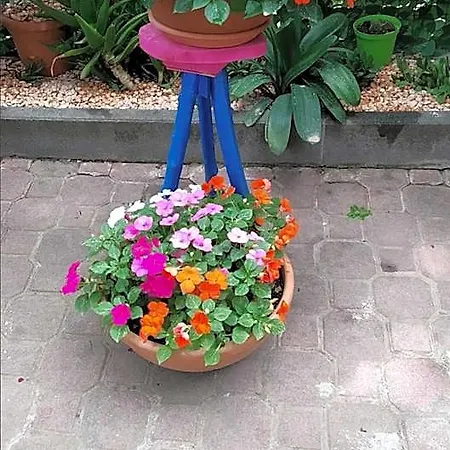 Отель типа 